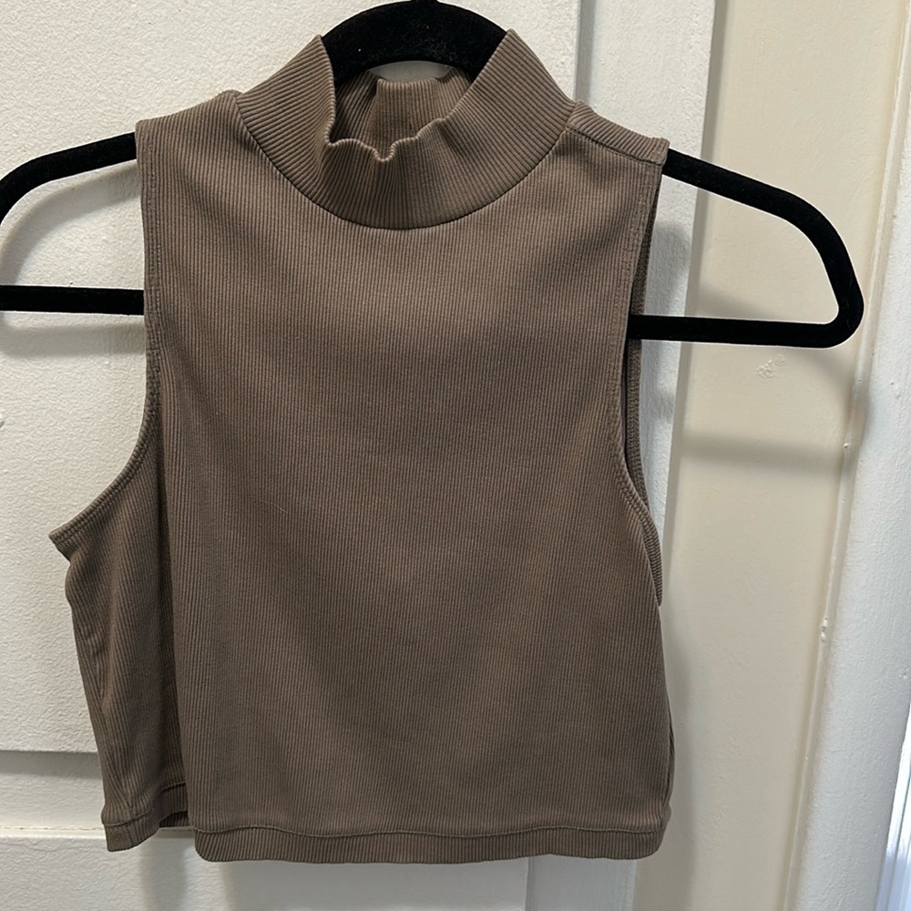 Everlane Brown Ribbed Crop Top